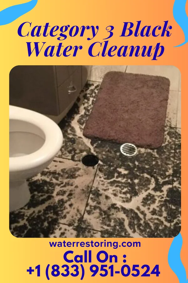 Category 3 Black Water Cleanup in Berkey, OH