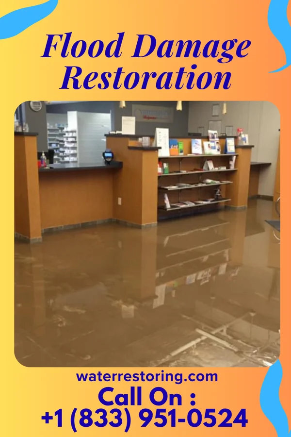 Flood Damage Restoration in Berkey, OH