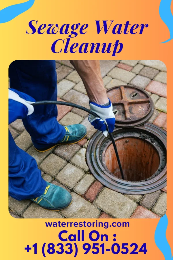 Sewage Water Cleanup in Berkey, OH